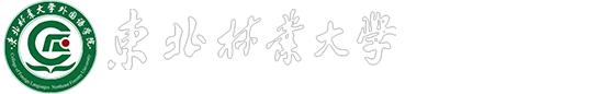 必赢242net官网